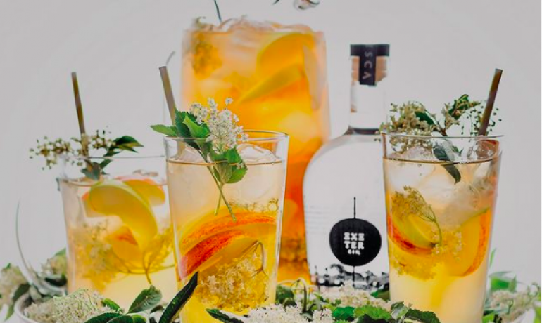 7 of the Best Gin’s in Devon